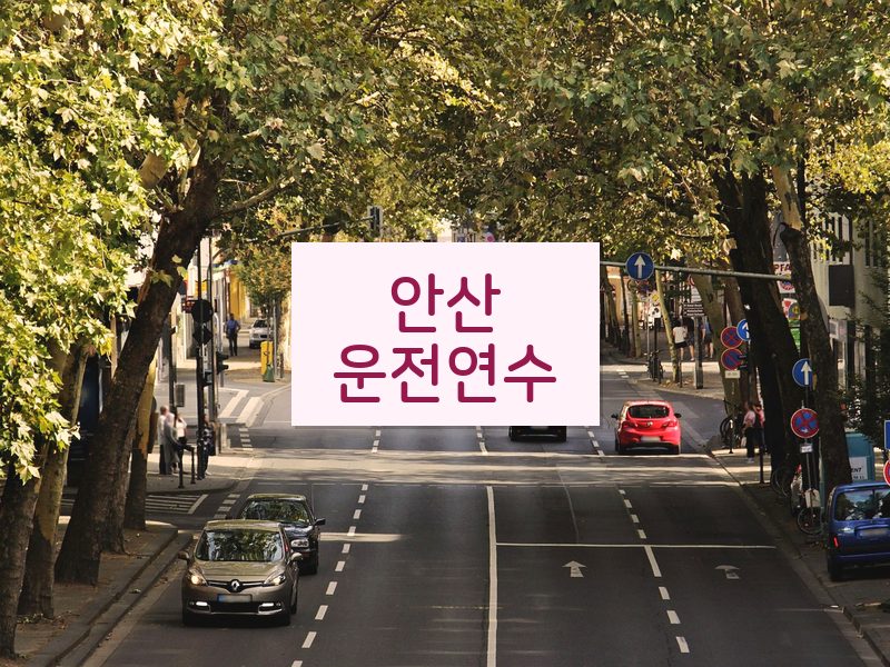 안산운전연수 후기