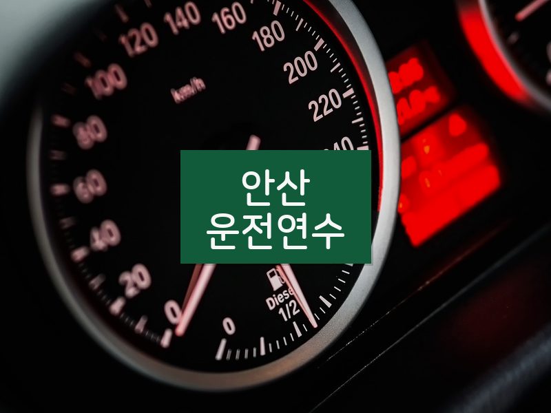 안산운전연수 후기