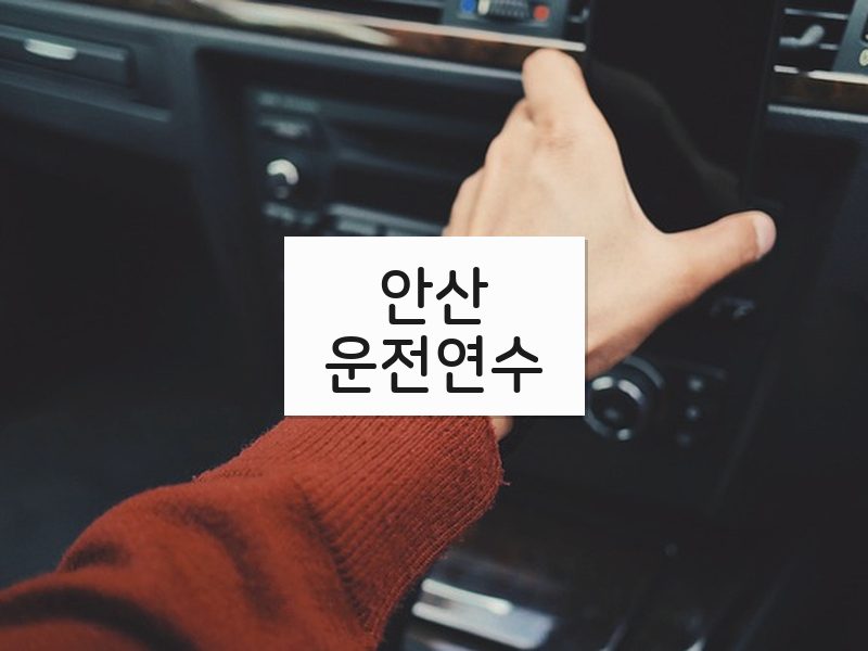 안산운전연수 후기