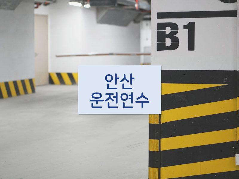 안산운전연수 후기