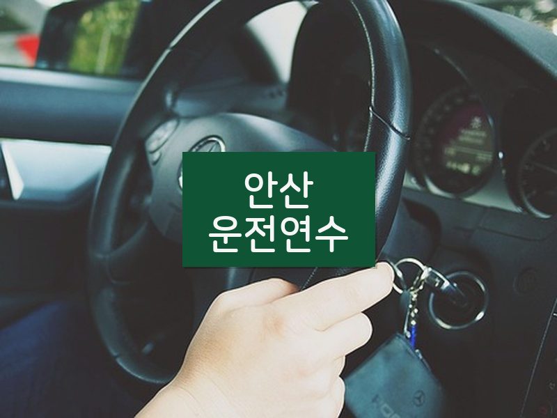 안산운전연수 후기