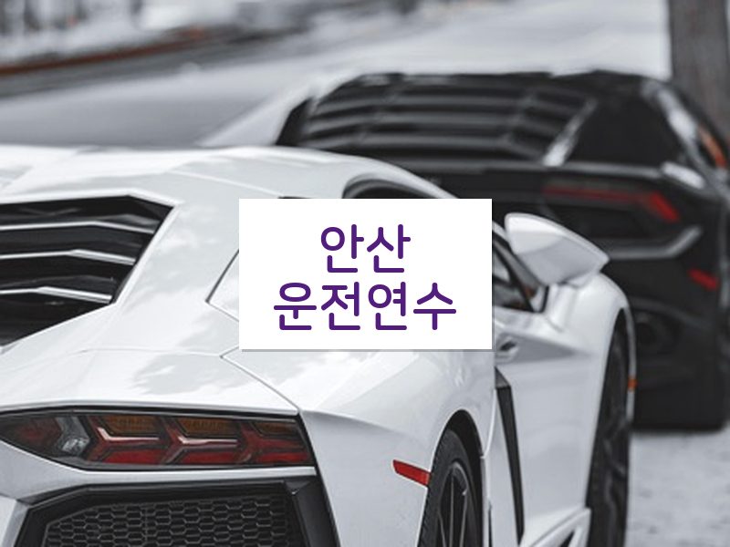 안산운전연수 후기