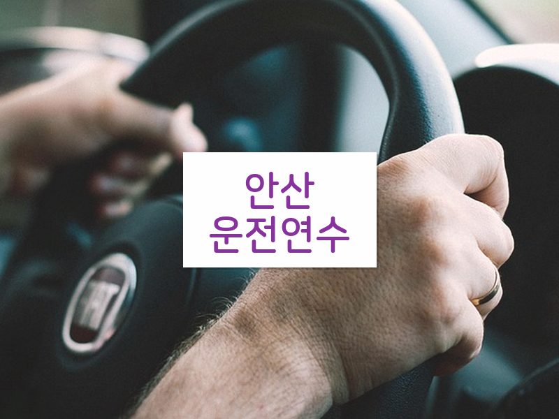 안산운전연수 후기