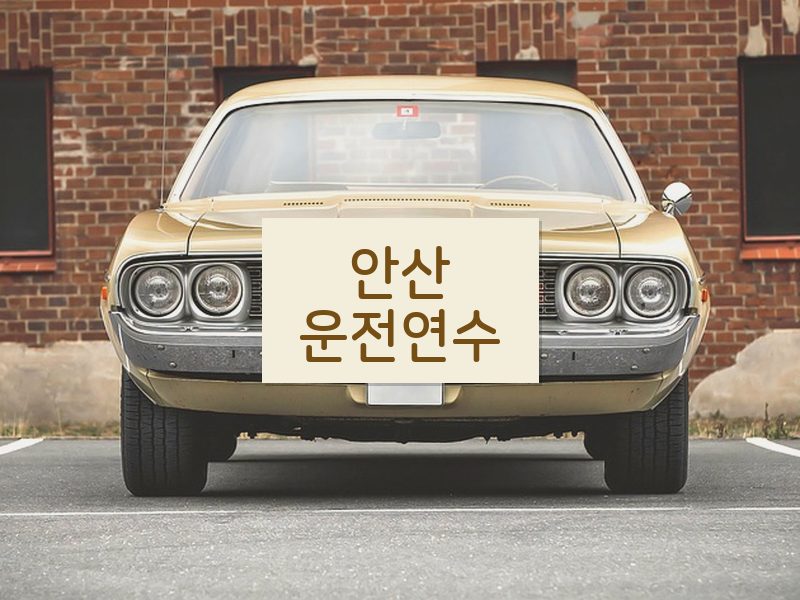 안산운전연수 후기