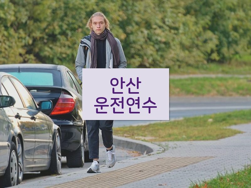안산운전연수 후기