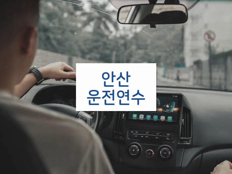 안산운전연수 후기