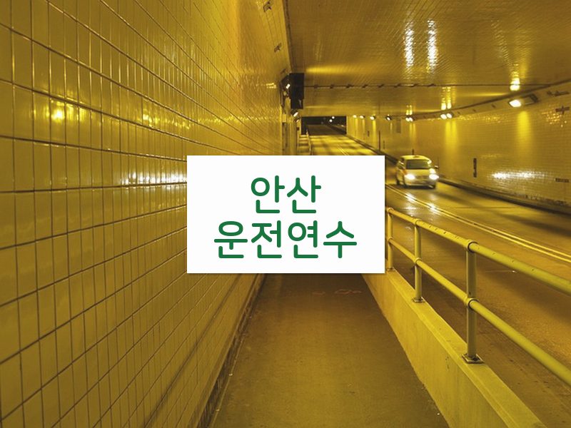 안산운전연수 후기