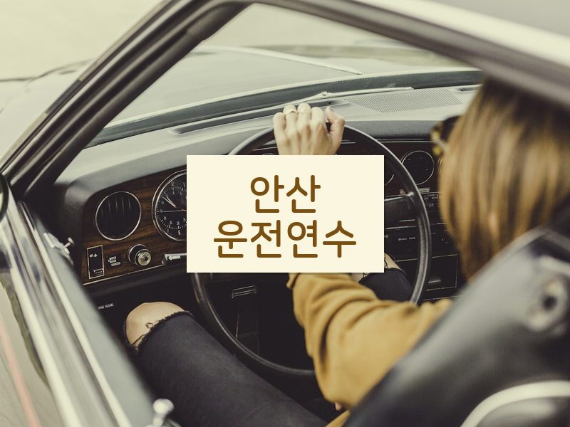 안산운전연수 후기