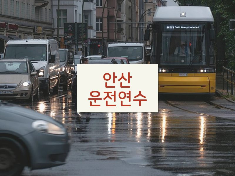 안산운전연수 후기