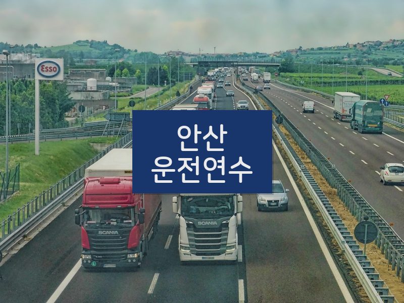 안산운전연수 후기