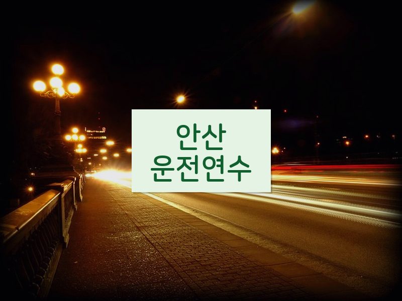 안산운전연수 후기