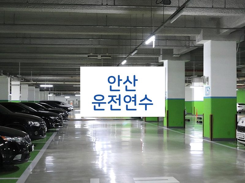 안산운전연수 후기