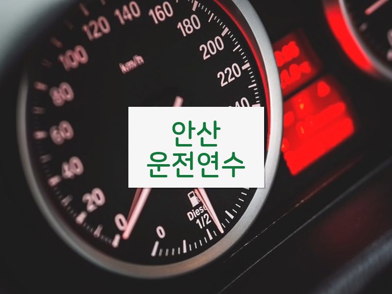 안산운전연수 후기
