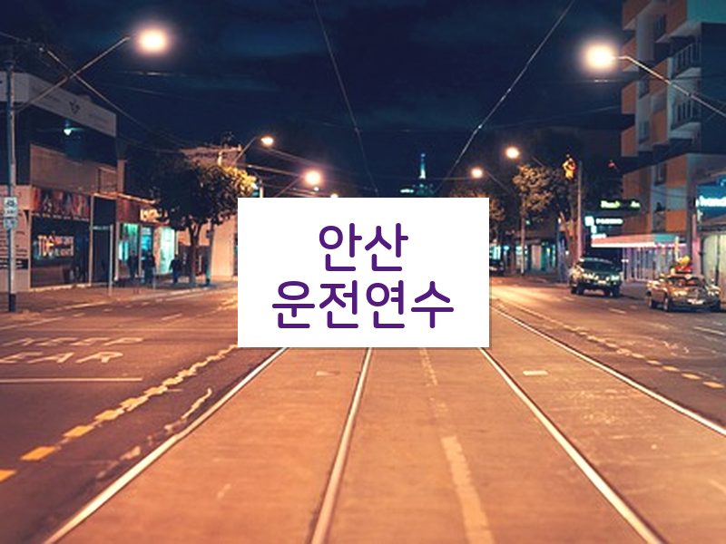 안산운전연수 후기