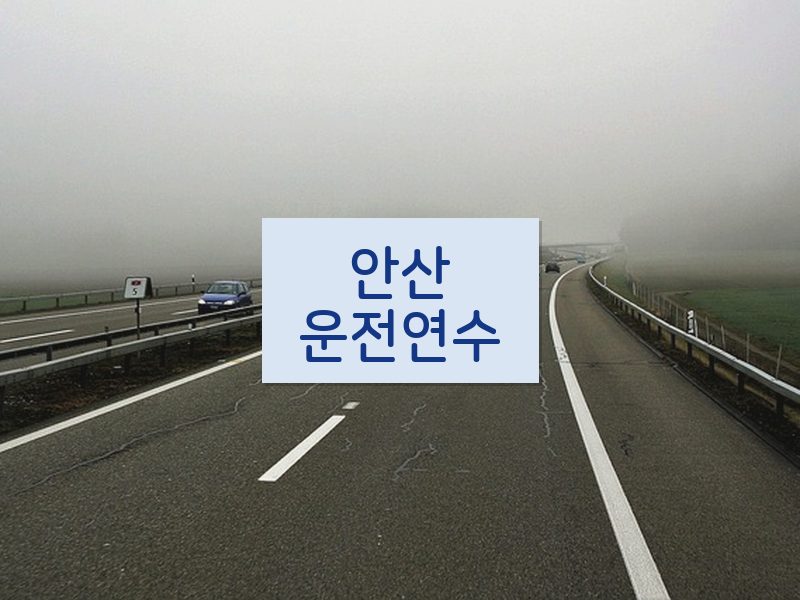 안산운전연수 후기