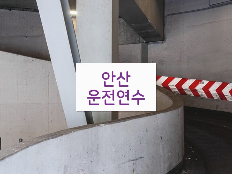 안산운전연수 후기