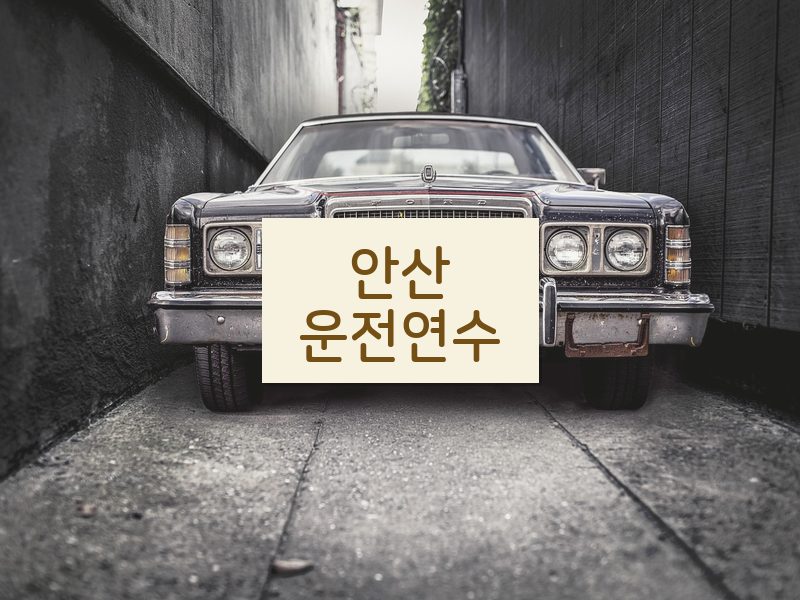 안산운전연수 후기