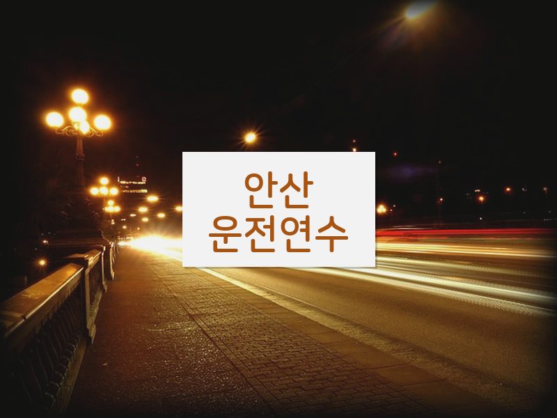 안산운전연수 후기