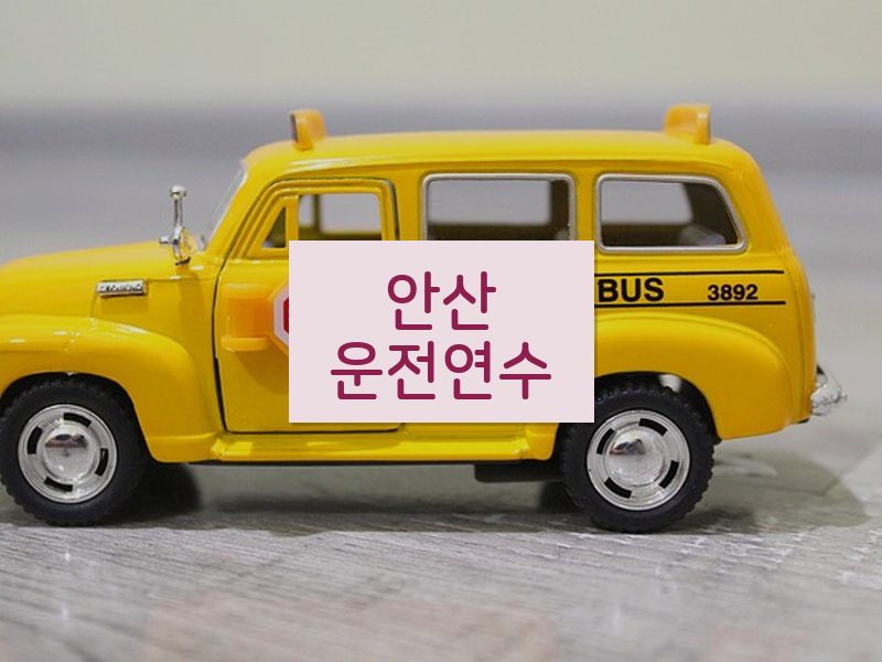 안산운전연수 후기