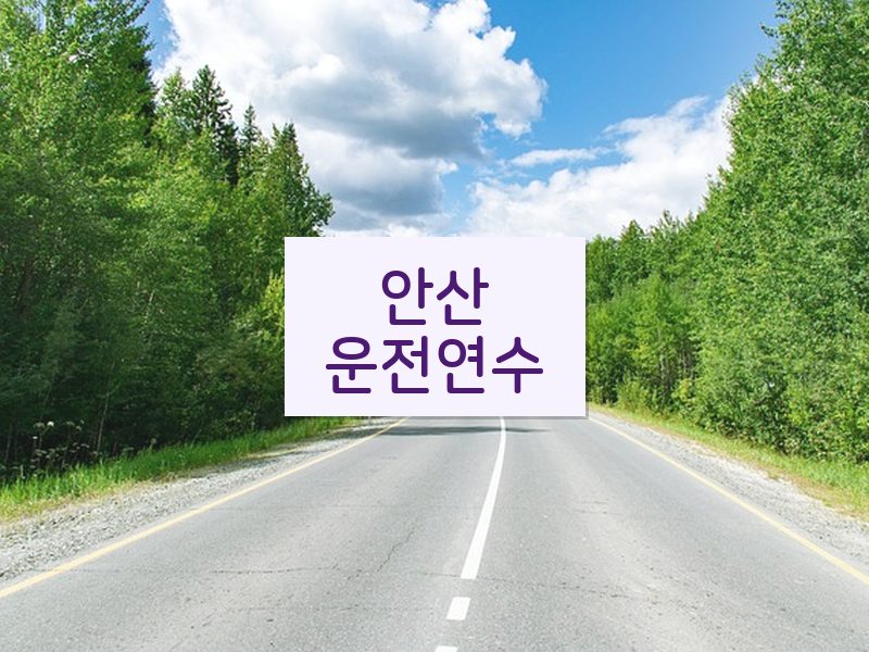 안산운전연수 후기