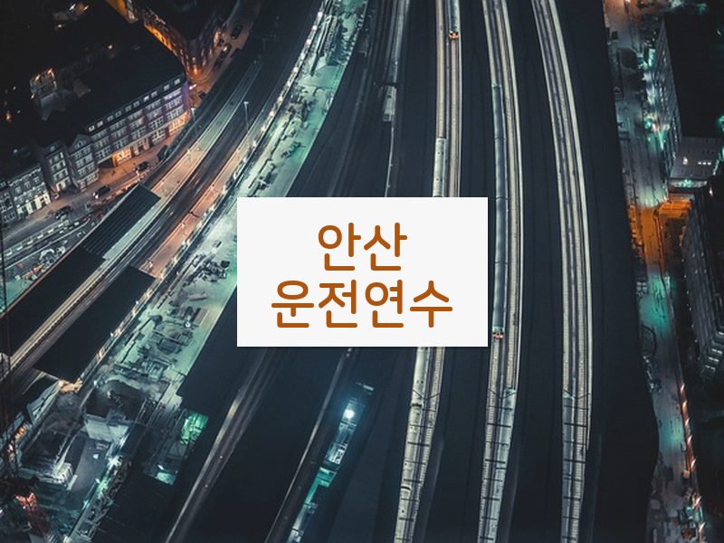 안산운전연수 후기