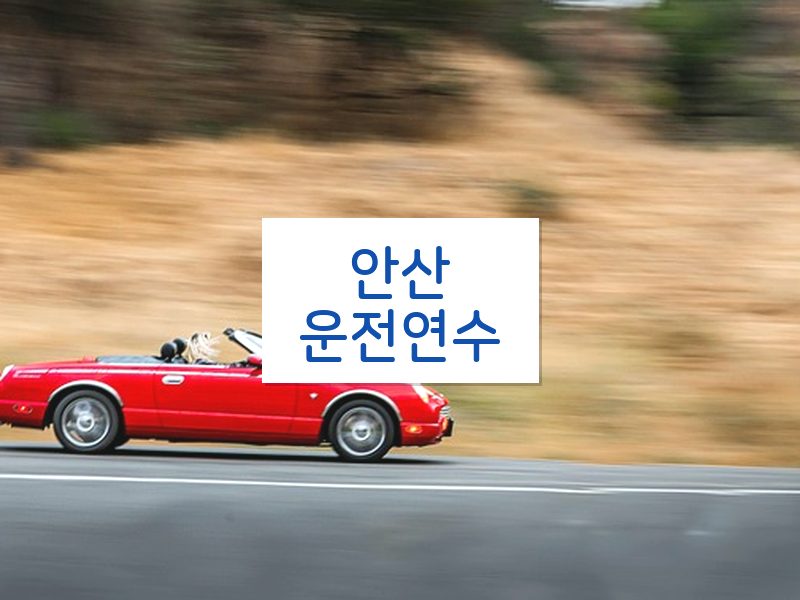 안산운전연수 후기