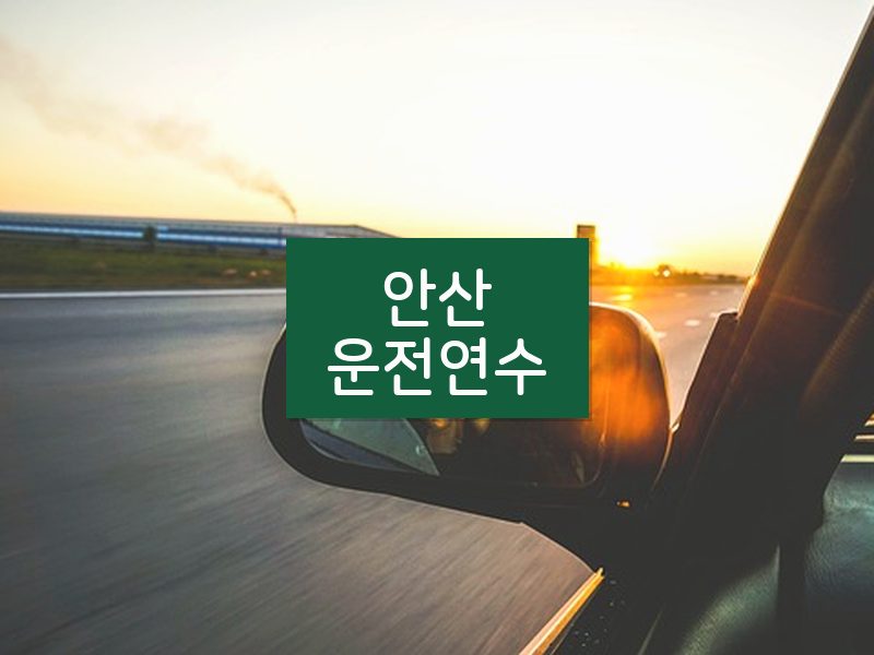 안산운전연수 후기