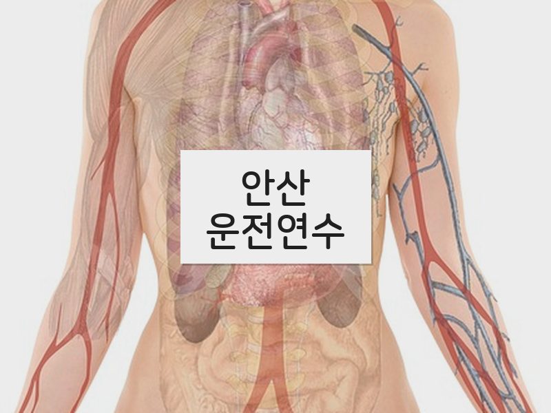 안산운전연수 후기