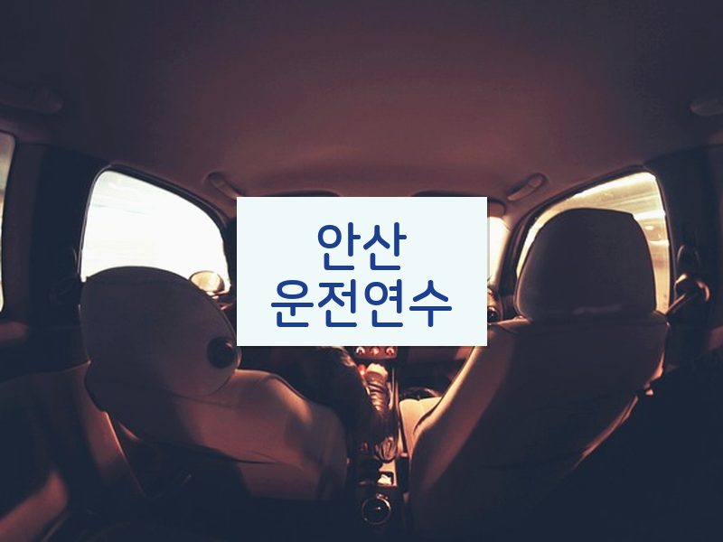 안산운전연수 후기