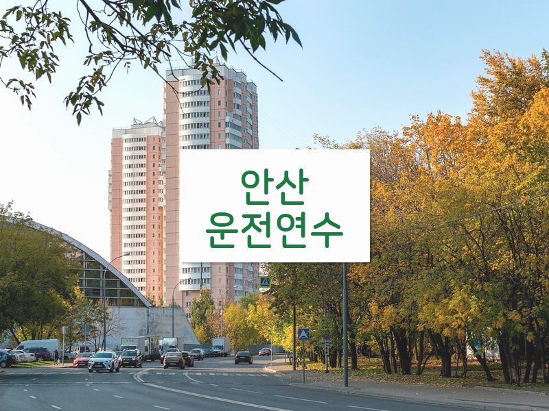 안산운전연수 후기