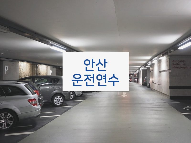 안산운전연수 후기