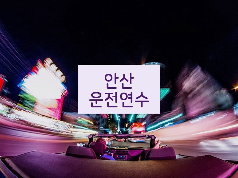 안산운전연수 후기