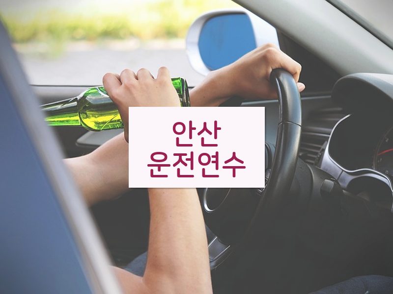 안산운전연수 후기