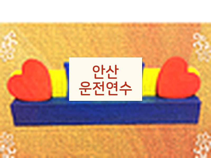 안산운전연수 후기