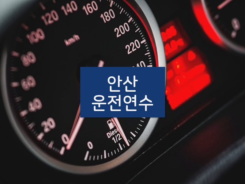 안산운전연수 후기