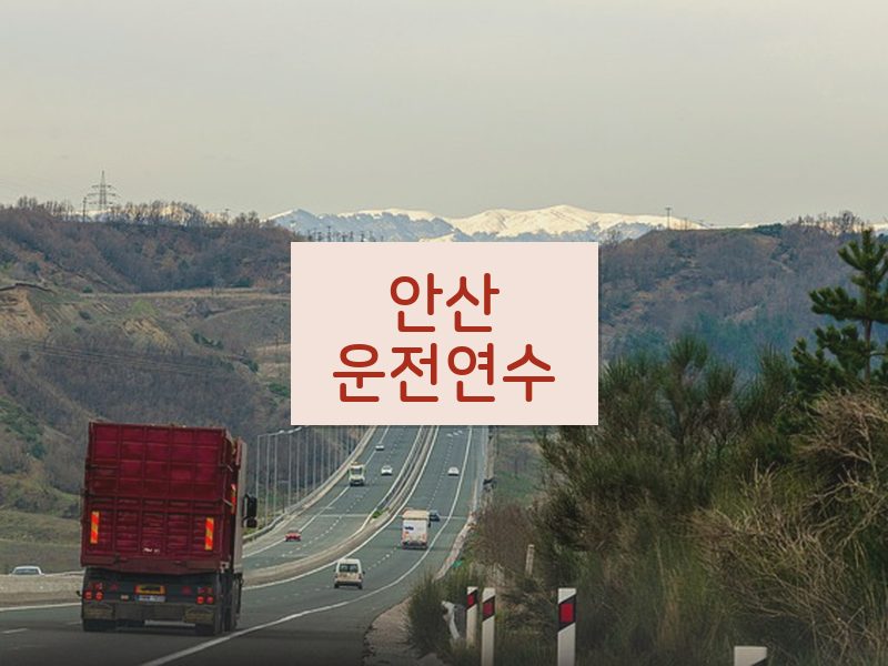 안산운전연수 후기