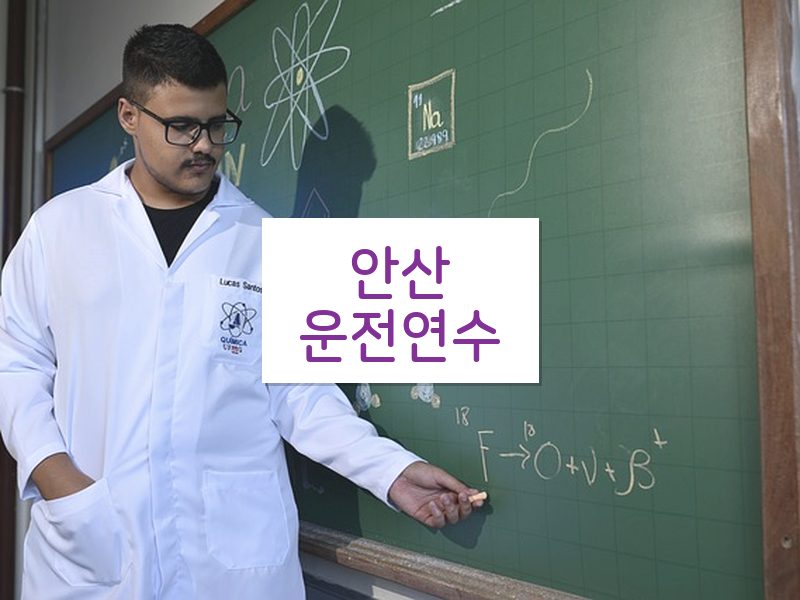 안산운전연수 후기