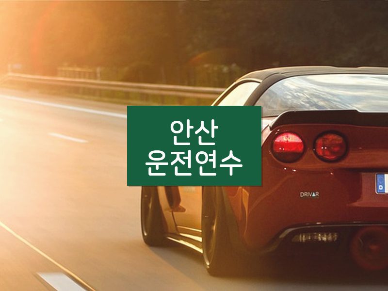 안산운전연수 후기