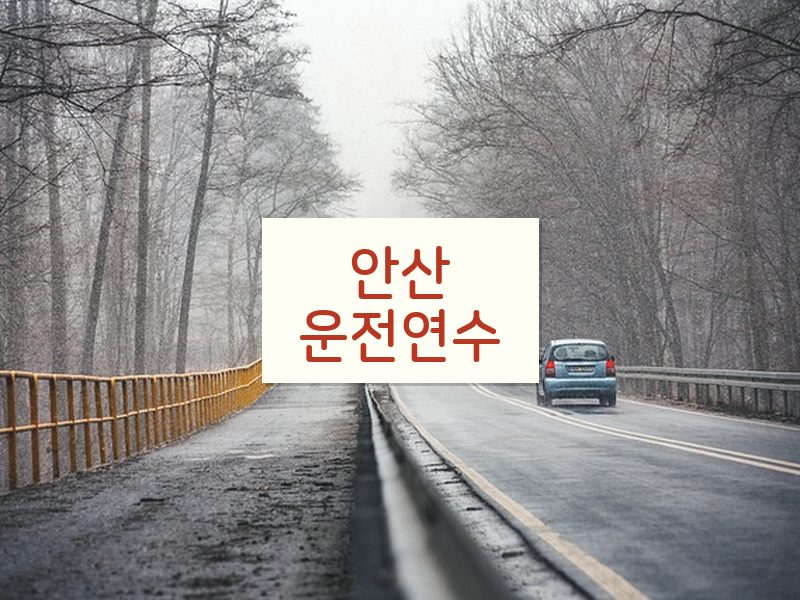 안산운전연수 후기