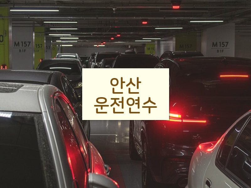 안산운전연수 후기