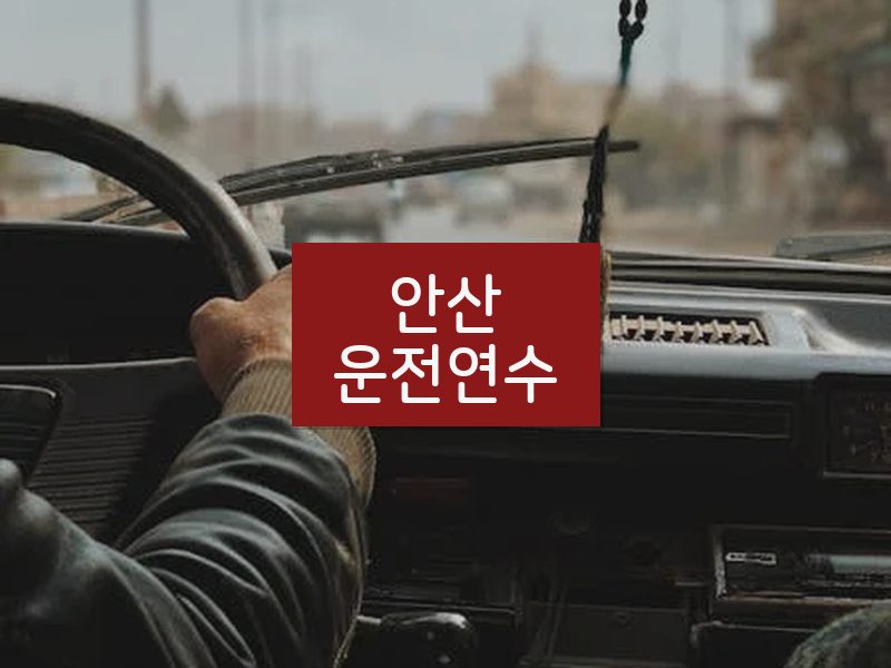 안산운전연수 후기