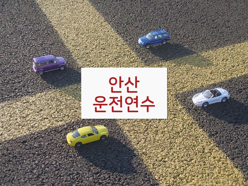 안산운전연수 후기