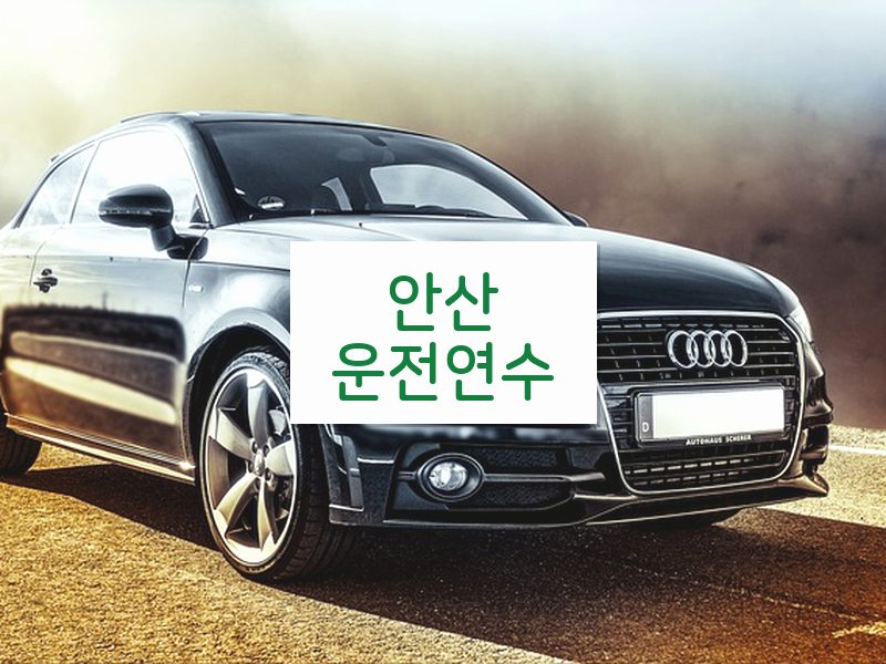 안산운전연수 후기