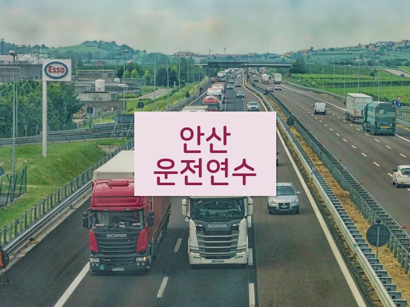 안산운전연수 후기