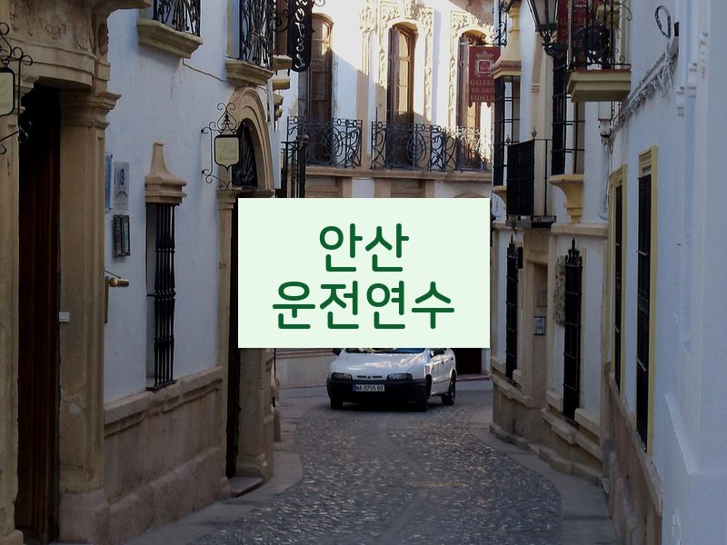 안산운전연수 후기