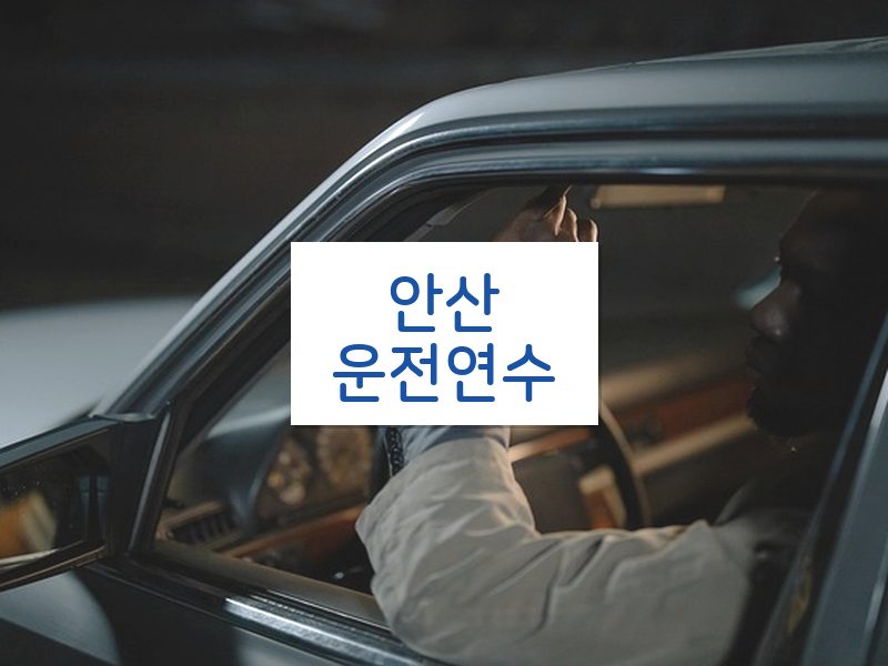 안산운전연수 후기
