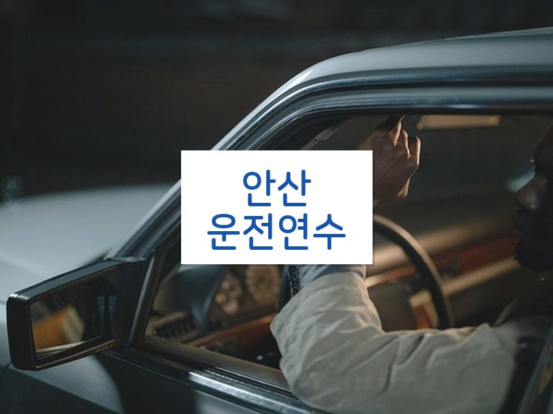 안산운전연수 후기