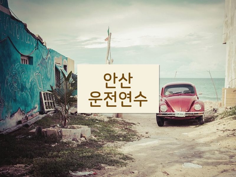 안산운전연수 후기