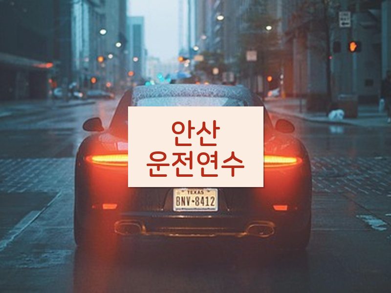 안산운전연수 후기