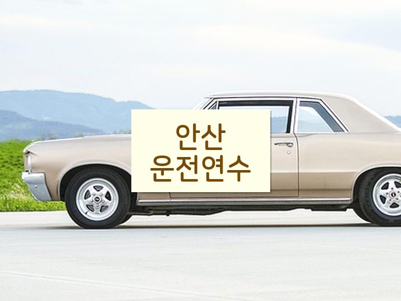 안산운전연수 후기
